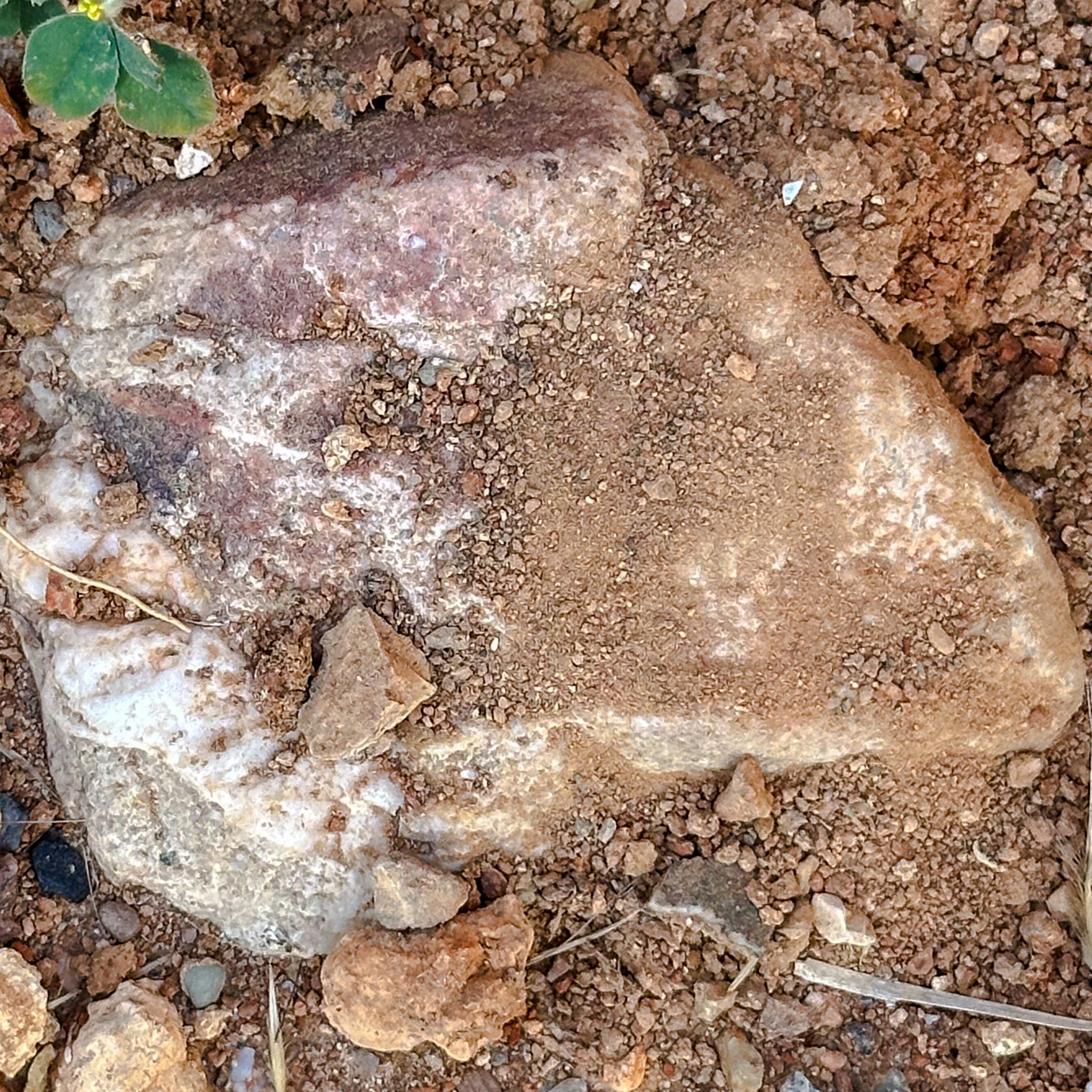 Stone from Llobregat River