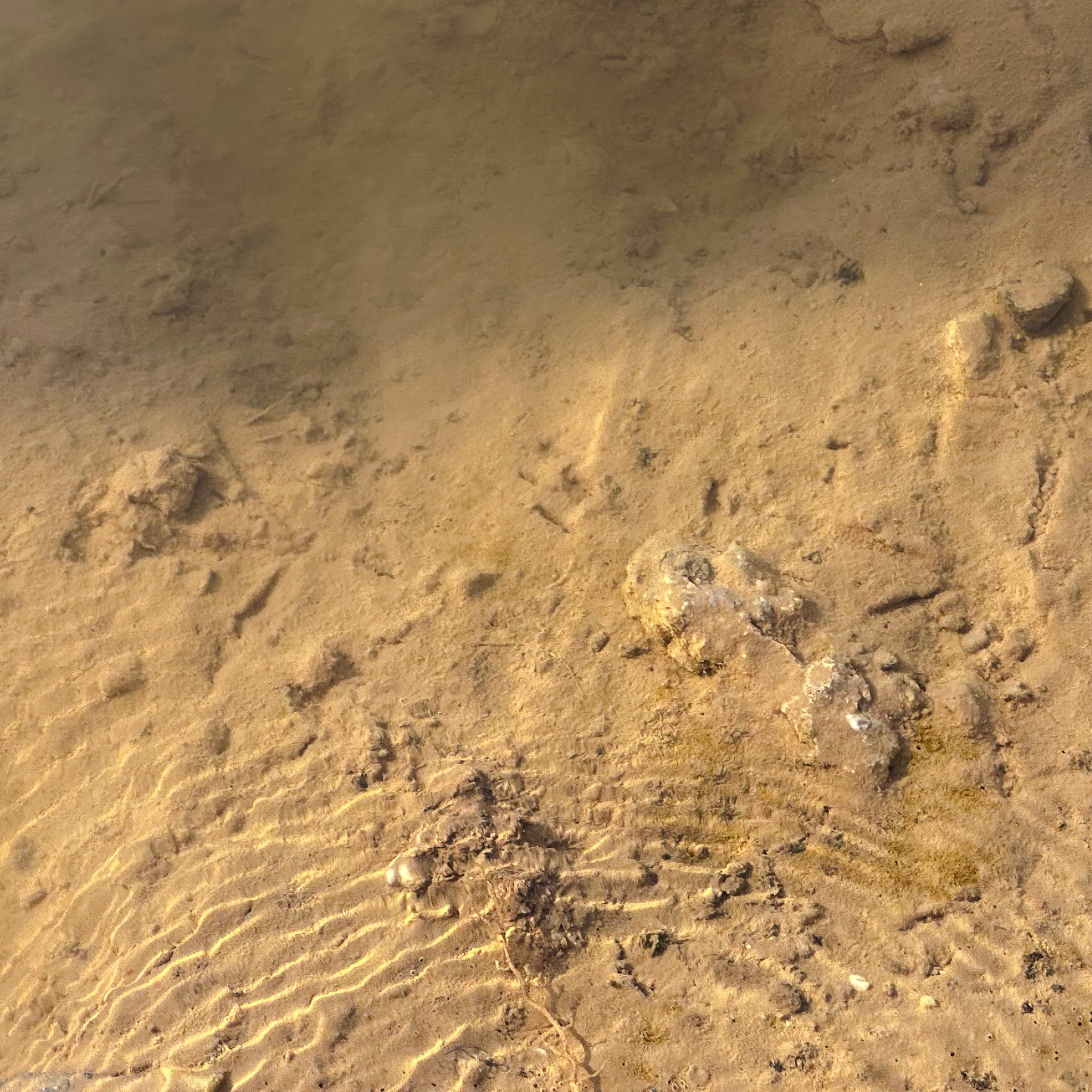 Water from Llobregat River